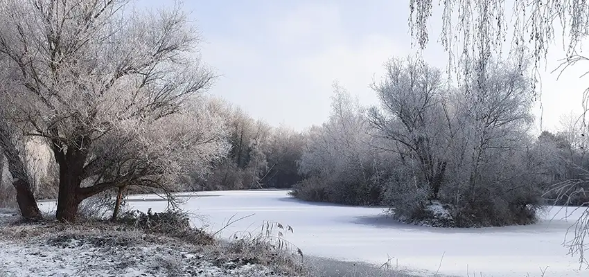 Das Naturschutzgebiet im Winter mit zugefrorenen Weihern
