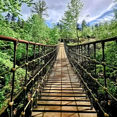 Hängebrücke im Waldalgesheimer Wald